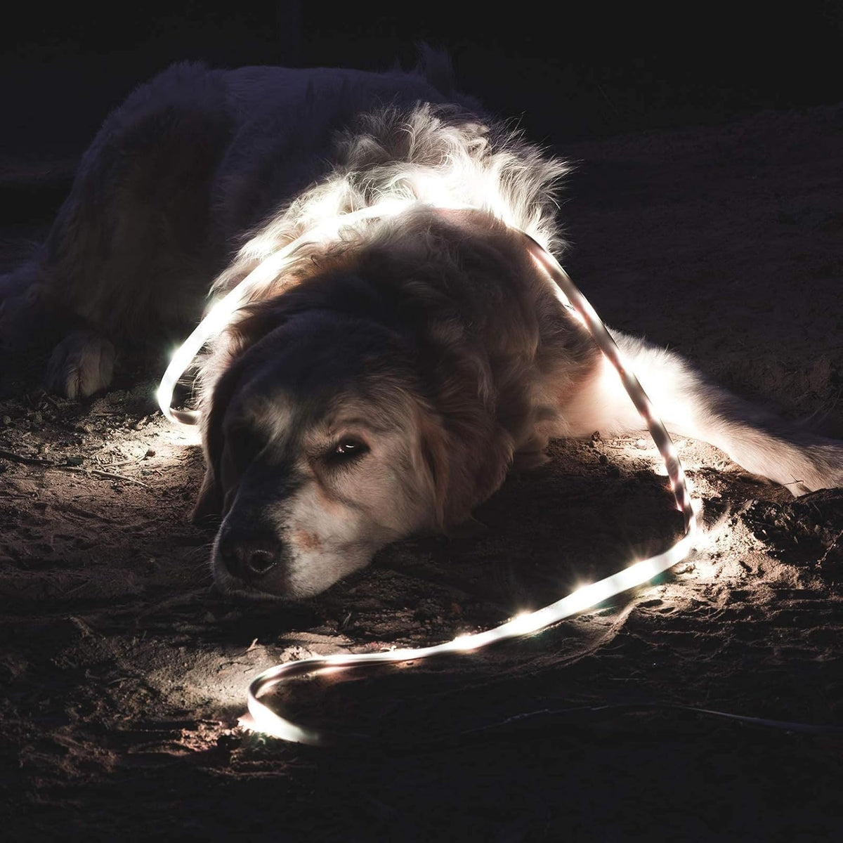 Luminoodle Original LED szalag más szögből
