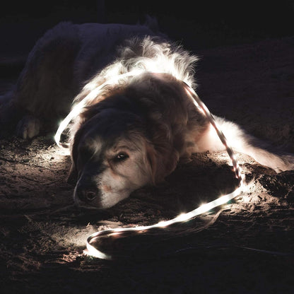 Luminoodle Original LED szalag más szögből