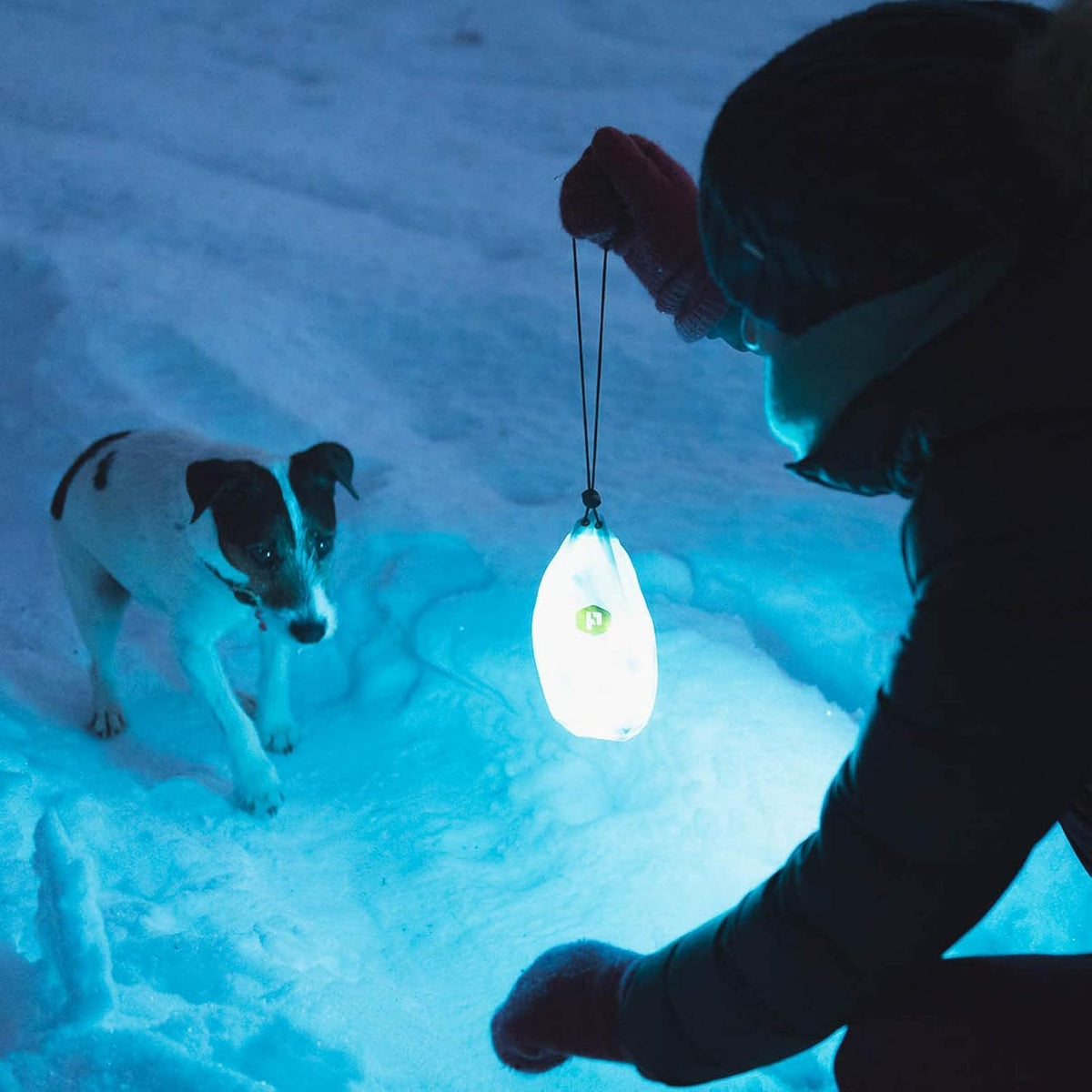 Luminoodle Original LED szalag 7. kép