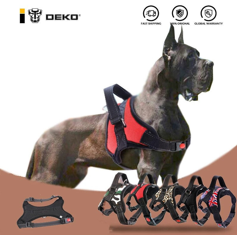 Kutyahám 6. kép