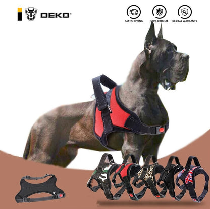 Kutyahám 6. kép