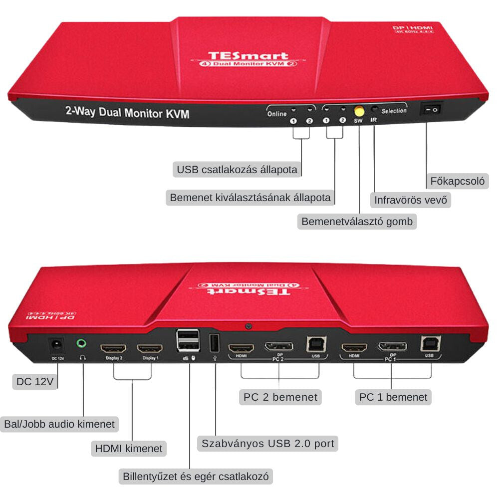 Tesmart KVM switch 2 monitor közelről