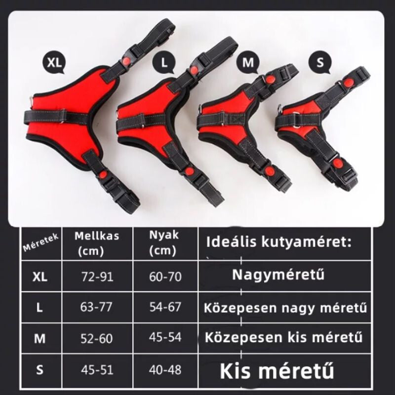 Kutyahám 9. kép