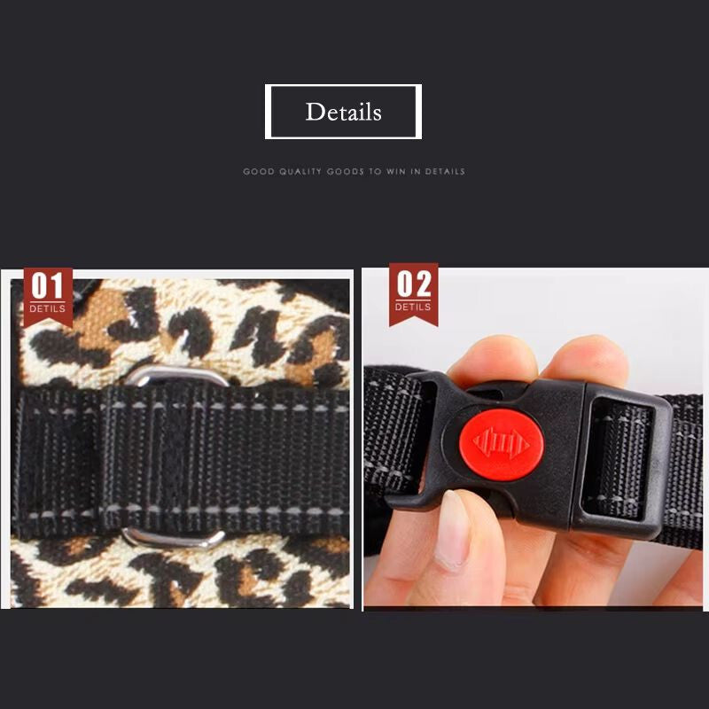 Kutyahám 5. kép