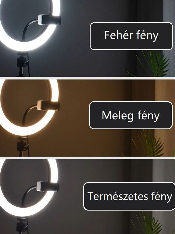 LED körlámpa állvánnyal és telefontartóval más szögből