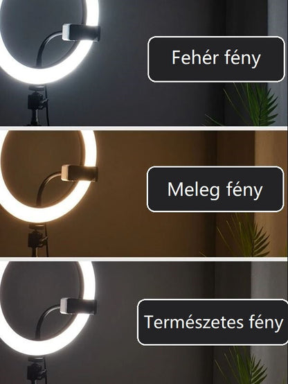 LED körlámpa állvánnyal és telefontartóval más szögből