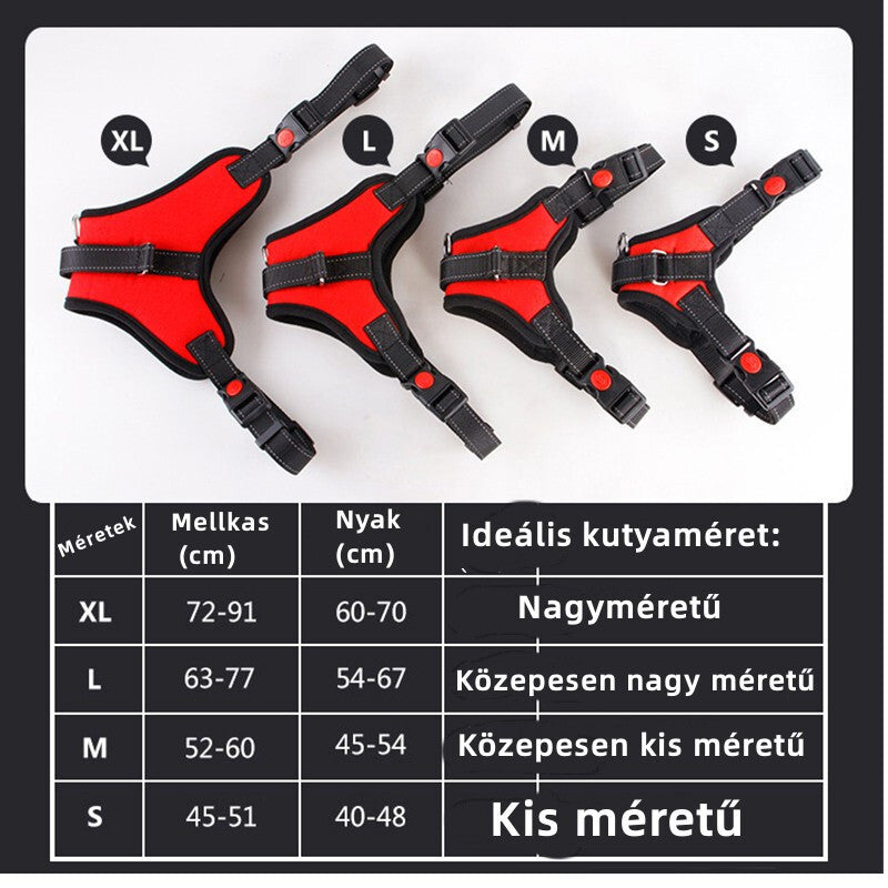 Kutyahám közelről