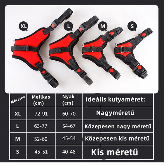 Kutyahám közelről