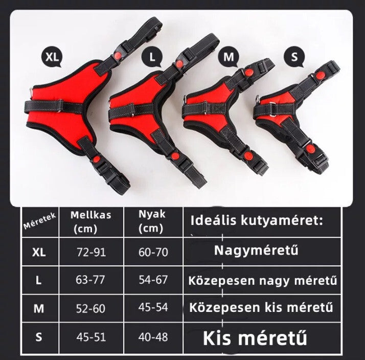 Kutyahám 5. kép