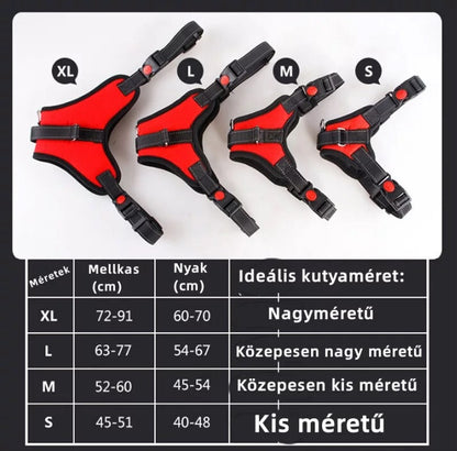 Kutyahám 5. kép