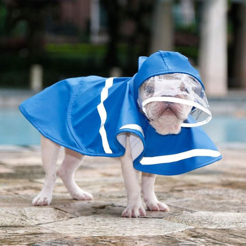 Kutya esőkabát 4. kép